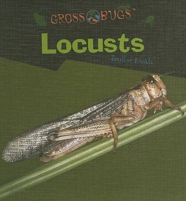 Book cover for Locusts