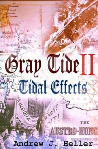 Cover of Tidal Effects