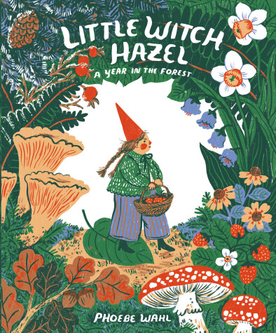 Book cover for Little Witch Hazel