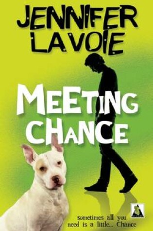 Cover of Meeting Chance