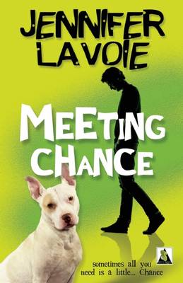 Book cover for Meeting Chance