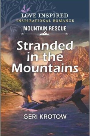 Cover of Stranded in the Mountains
