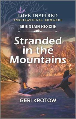 Book cover for Stranded in the Mountains