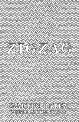 Book cover for Zigzag