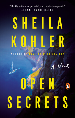 Book cover for Open Secrets