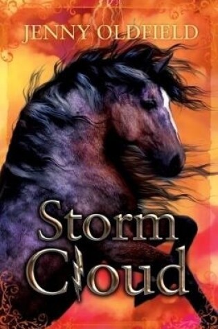 Cover of Storm Cloud