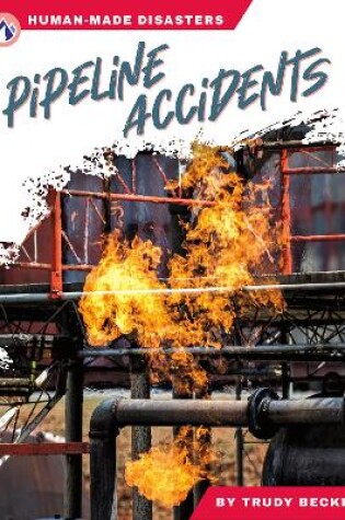 Cover of Human-Made Disasters: Pipeline Accidents