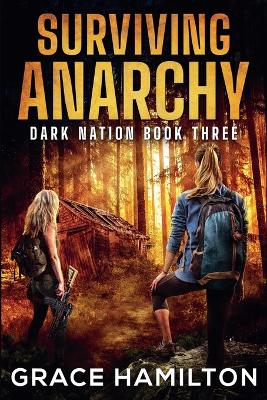 Cover of Surviving Anarchy