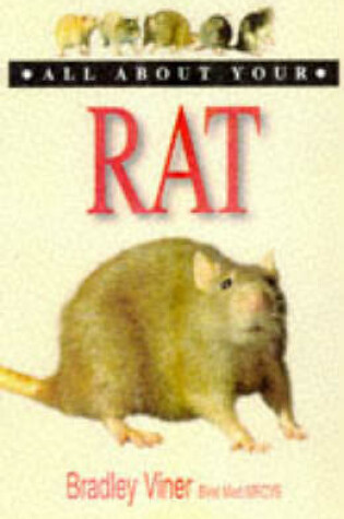 Cover of All About Your Rat