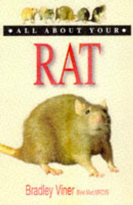 Cover of All About Your Rat