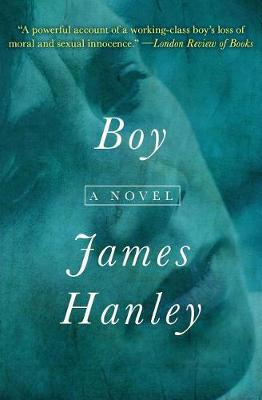 Book cover for Boy