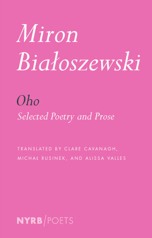Book cover for Miron Bialoszewski