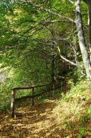 Cover of The Founding Fathers Trail in the Woods of Poland