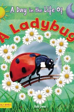 Cover of A Ladybug