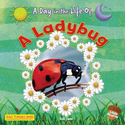Cover of A Ladybug