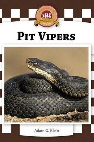 Cover of Pit Vipers