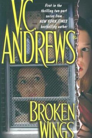 Cover of Broken Wings