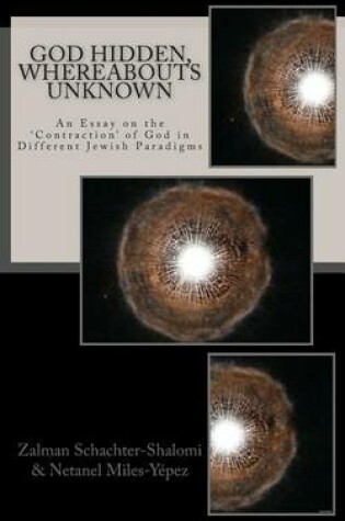 Cover of God Hidden, Whereabouts Unknown