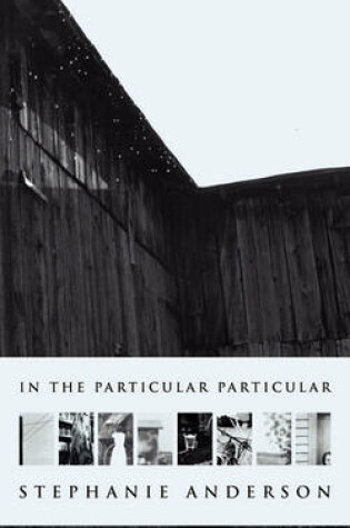 Cover of In the Particular Particular