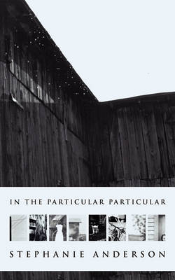 Book cover for In the Particular Particular