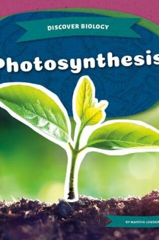 Cover of Photosynthesis