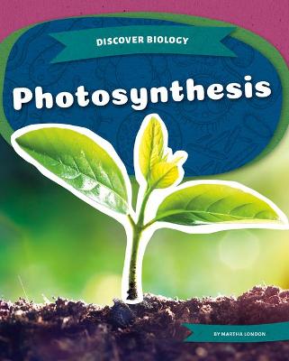 Cover of Photosynthesis