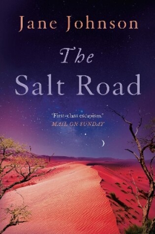 Cover of The Salt Road