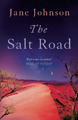 Book cover for The Salt Road