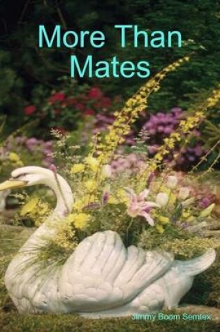 Cover of More Than Mates