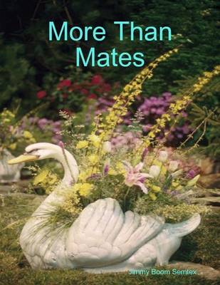 Book cover for More Than Mates