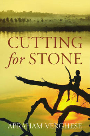 Cover of Cutting for Stone