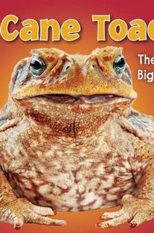 Cover of Cane Toad