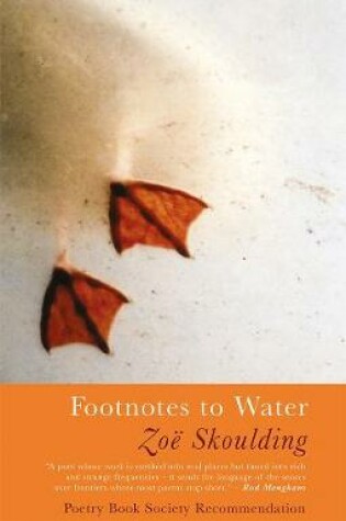 Cover of Footnotes to Water