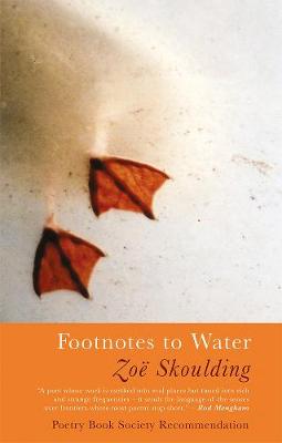 Book cover for Footnotes to Water