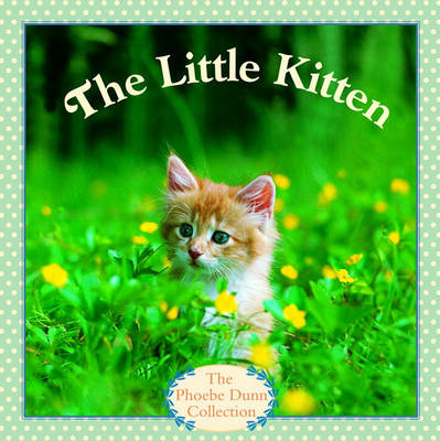 Book cover for Little Kitten