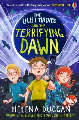 Book cover for The Light Thieves and the Terrifying Dawn