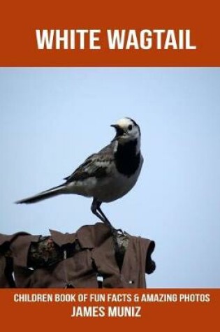 Cover of White Wagtail