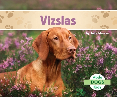 Book cover for Vizslas