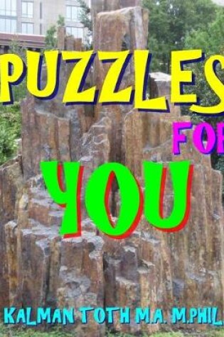 Cover of Puzzles for You