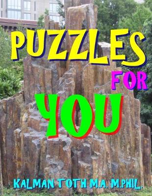 Book cover for Puzzles for You