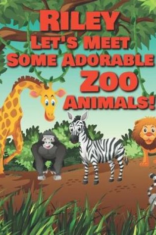 Cover of Riley Let's Meet Some Adorable Zoo Animals!