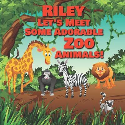Book cover for Riley Let's Meet Some Adorable Zoo Animals!