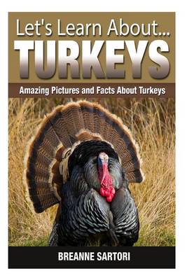 Book cover for Turkeys