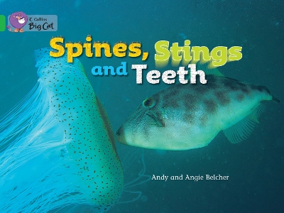 Cover of Spines, Stings and Teeth