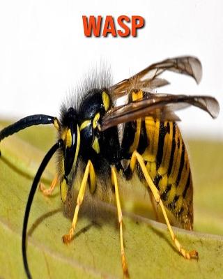 Book cover for Wasp