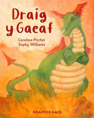 Book cover for Draig y Gaeaf