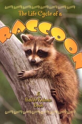Cover of The Life Cycle of the Raccoon