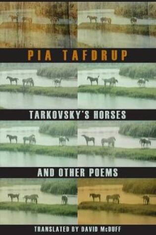 Cover of Tarkovsky's Horses and other poems