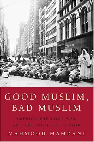 Book cover for Good Muslim, Bad Muslim