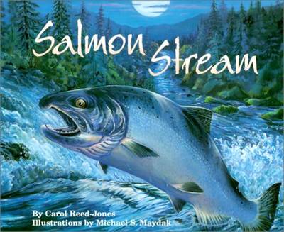 Book cover for Salmon Stream